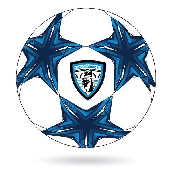 Lionsbridge Soccer Ball (Size 5)