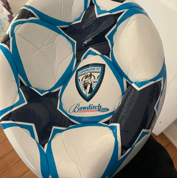 Lionsbridge Soccer Ball (Size 5)